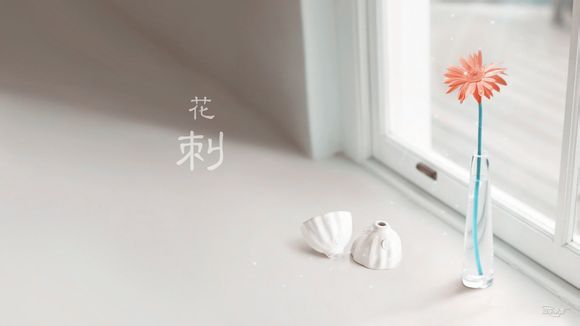 养车一年费用多少钱