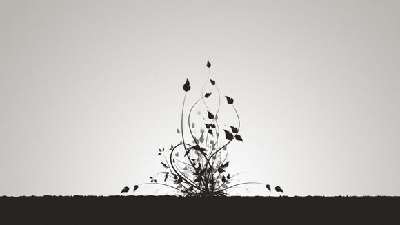 为什么群共享打不开